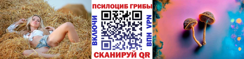 где найти   Дно  Псилоцибиновые грибы MAGIC MUSHROOMS 