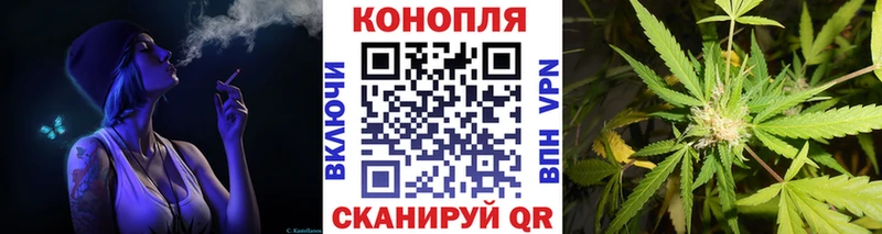 Канабис SATIVA & INDICA  купить  цена  Дно 